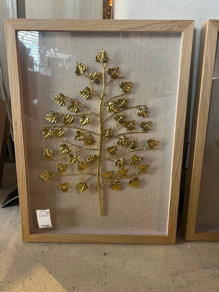 Shadow Box